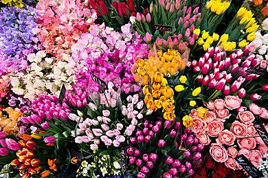 《海贼王》真人剧正式预告 8月31日播出